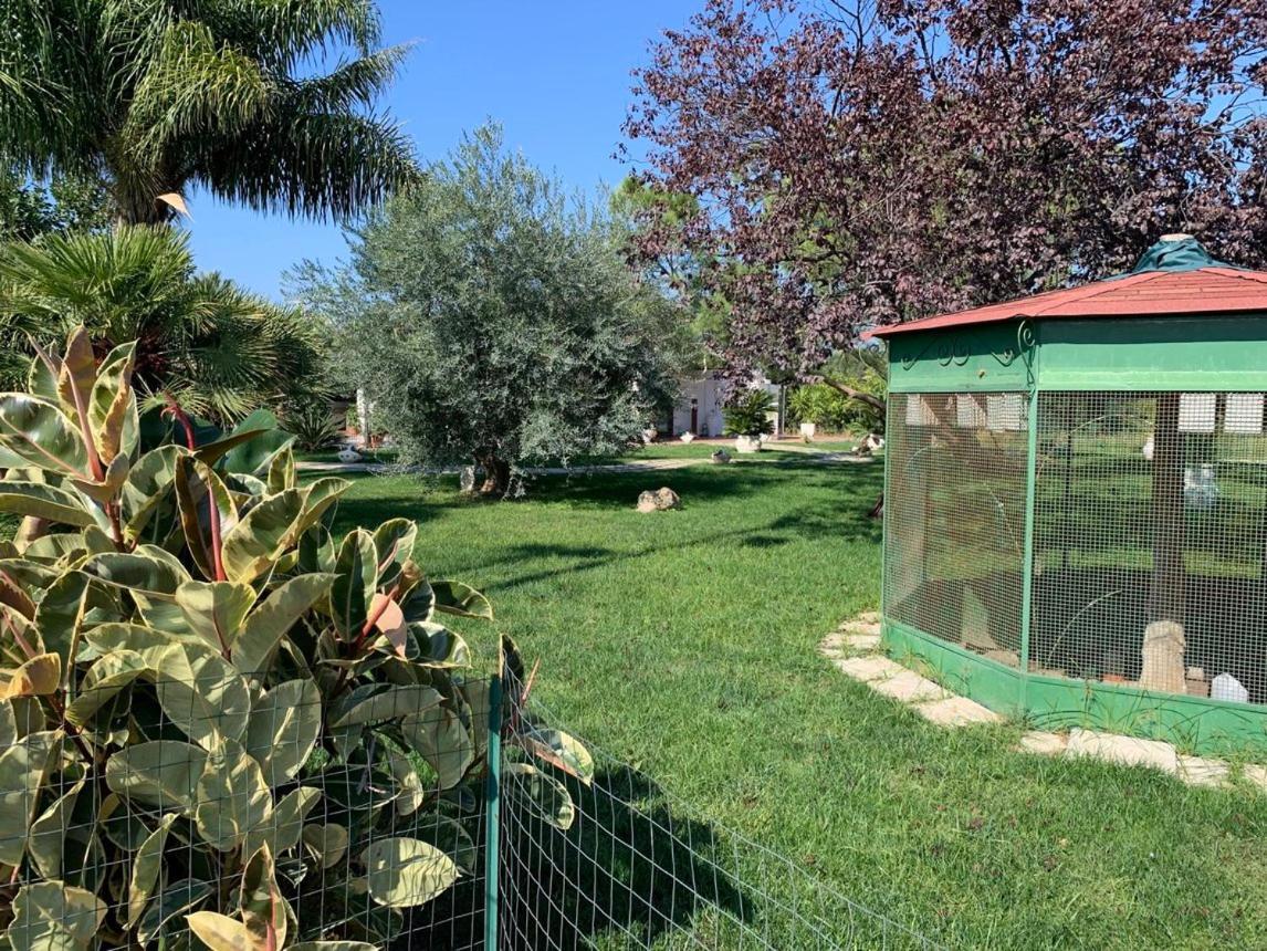 Ricciardulli Rooms Policoro Exteriér fotografie